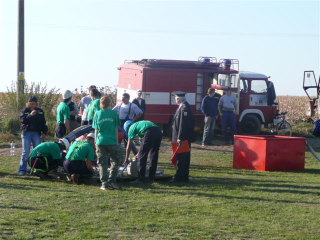 P1010653 (Small).JPG