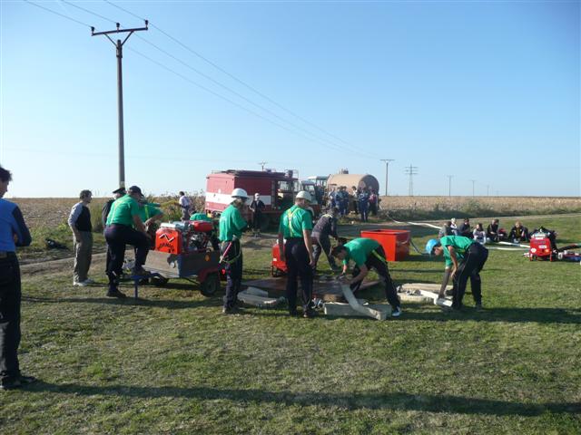 P1010640 (Small).JPG
